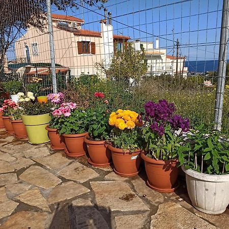 Airport Family House Appartamento Artemida  Esterno foto